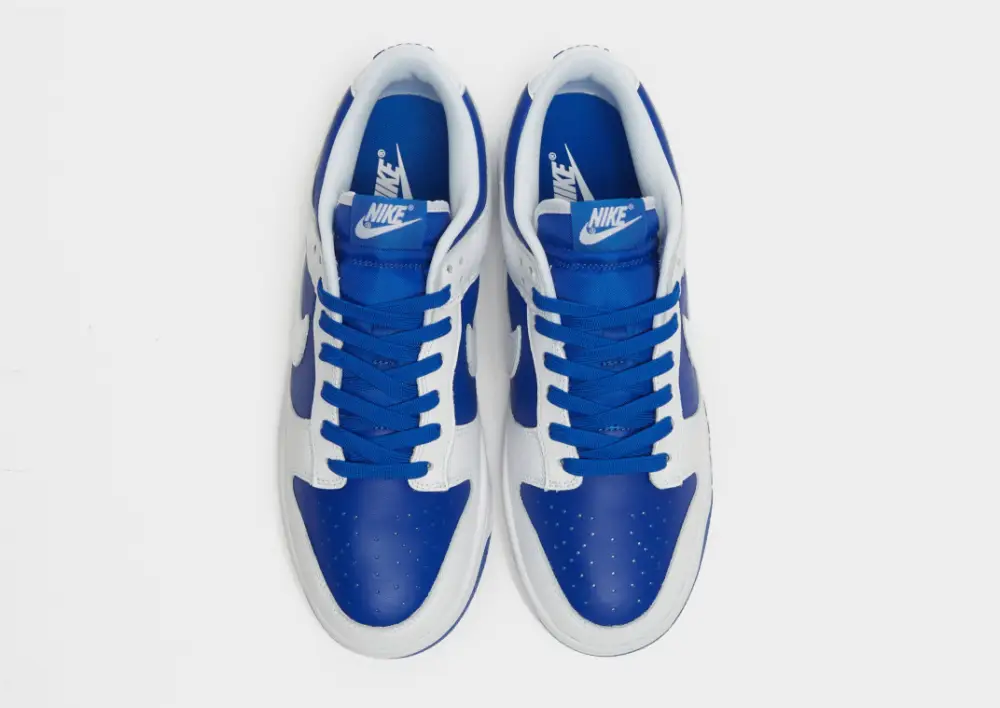 Nike Dunk Low Retro 