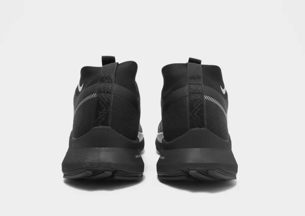 Nike Pegasus Trail 4 GORE-TEX Women's 