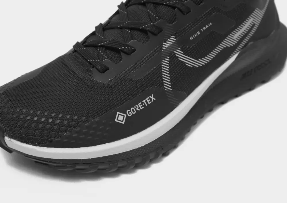 Nike Pegasus Trail 4 GORE-TEX Women's 
