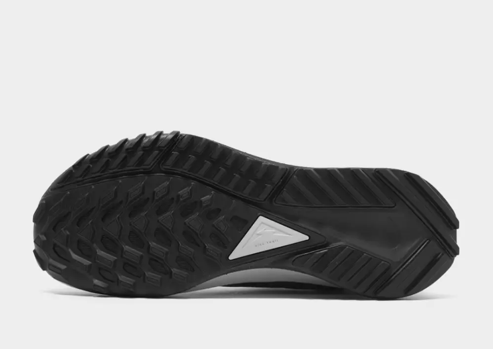 Nike Pegasus Trail 4 GORE-TEX Women's 