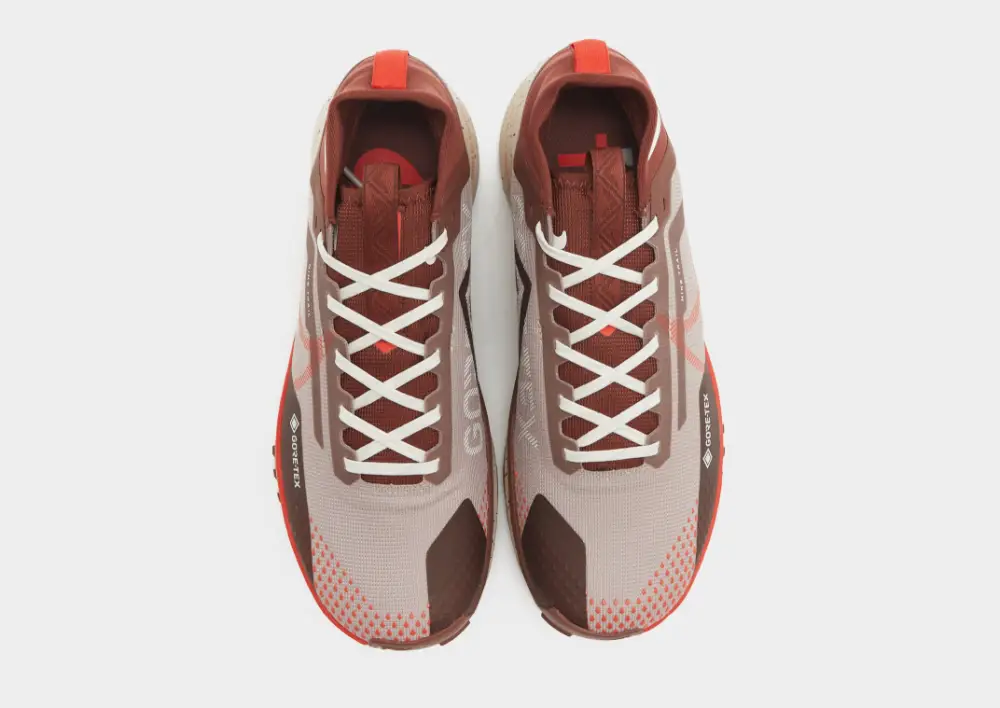 Nike Pegasus Trail 4 GORE-TEX 