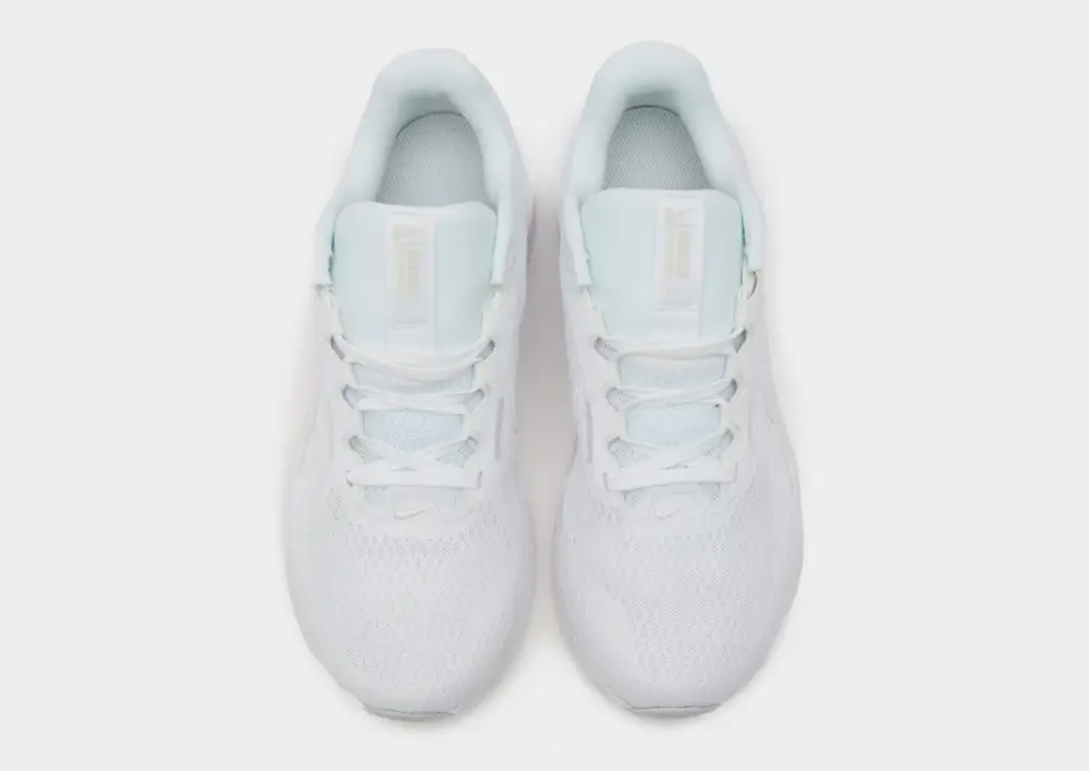 Nike Downshifter 13 Women's 