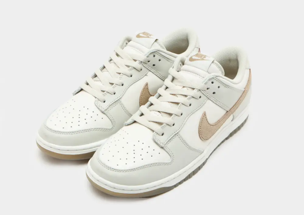 Nike Dunk Low Retro SE ECE368